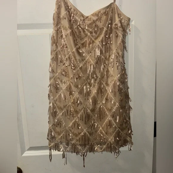 Lucy in the Sky Dresses Lucy In The Sky Sequin Fringe Dress In